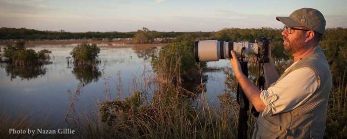 Cameron Gillie taking a wildlife photograph in the Florida Everglades.