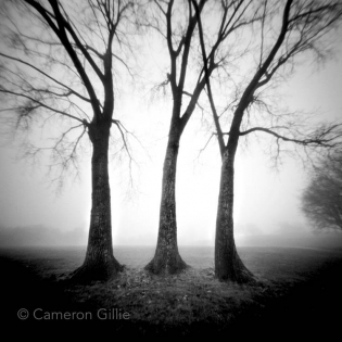 Pinhole photography by Cameron Gillie in Garner Park in Madison, Wisconsin.
