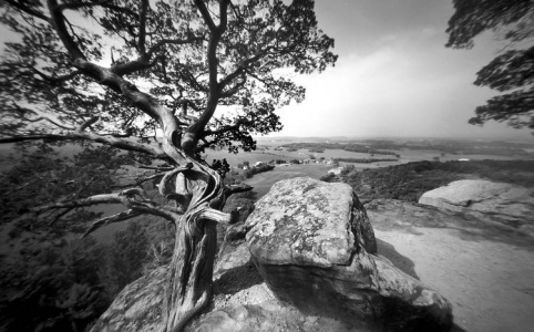 Pinhole photography from the Gibraltar Rock trail near Lodi, Wisconsin.