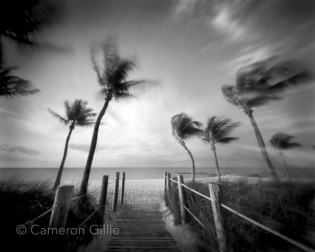 Pinhole photography from the beach in Key West, Florida. This is a five minute exposure giving the palms a dreamy look on a windy day.