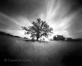 Pinhole photograph from Owen Conservation Park in Madison, Wisconsin.