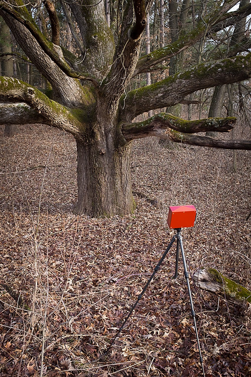 a pinhole camera taking a photograph of a tree