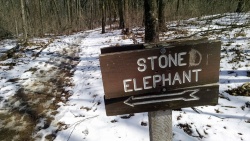 a sign pointing to the Stoned Elephant